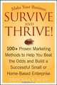 Make Your Business Survive and Thrive!, Priscilla Y. Huff 