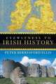 Eyewitness to Irish History, Peter Berresford Ellis 