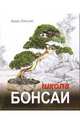 Школа бонсаи, Кассинс Крейг 