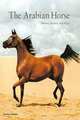 The Arabian Horse, Amirsadeghi, Hossein 