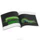 100 Caterpillars: Portraits from the Tropical Forests of Costa Rica, Jeffrey C. Miller, Daniel H. Janzen, Winifred Hallwachs 