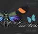 100 Butterflies and Moths: Portraits from the Tropical Forests of Costa Rica, Jeffrey C. Miller, Daniel H. Janzen, Winifred Hallwachs 