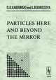 Particles here and beyond the mirror, L. B. Borissova, D. D. Rabounski 
