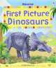 First Picture Dinosaurs, Sam Taplin 