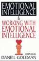 Destructive emotions, Goleman, Daniel 