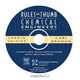 Rules of Thumb for Chemical Engineers Interactive CD, Carl R. Branan 