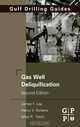 Gas Well Deliquification, James F. Lea 
