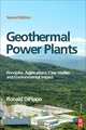 Geothermal Power Plants, Ronald DiPippo 