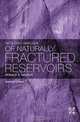 Geologic Analysis of Naturally Fractured Reservoirs, Ronald Nelson 