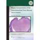 Biopsy Interpretation of the Gastrointestinal Tract Mucosa: Volume 2: Neoplastic, Lysandra Voltaggio 