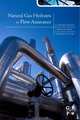 Natural Gas Hydrates in Flow Assurance, Carolyn Ann Koh 