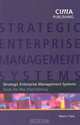 Strategic Enterprise Management, Martin Fahy 