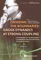 Crossing the Boundaries: Gauge Dynamics at Strong Coupling Workshop, 