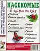 Насекомые в картинках. Наглядное пособие, 