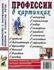 Профессии в картинках: Наглядное пособие для педагогов, логопедов, воспитателей и родителей: Приложение к пособию Т.А. Шорыгиной "Профессии. Какие они" ., Шорыгина Т.А. 