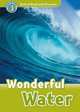 Oxford Read And Discover 3. Wonderful Water, Palin Cheryl 