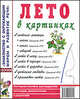 Лето в картинках. Наглядное пособие, 