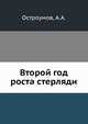 Второй год роста стерляди, Остроумов, А.А. 