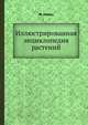 Иллюстрированная энциклопедия растений, Ф. Новак 