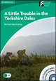 Cambridge Discovery Readers 3. Little Trouble in York. Dales + CD-ROM + AudioCD, 