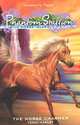 Phantom Stallion: Wild Horse Island 1, Terri Farley 
