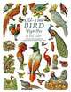 Old-Time Bird Vignettes in Full Color, 