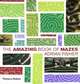 The Amazing Book of Mazes, Adrian Fisher 