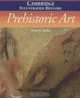 The Cambridge Illustrated History of Prehistoric Art, Paul G. Bahn 