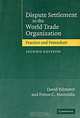 Dispute Settlement in the World Trade Organization: Practice and Procedure, David Palmeter and Petros C. Mavroidis 