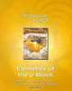Elements of the p Block (+ 2 CD-ROM), Edited by Charlie Harding, Rob Janes and David Johnson 