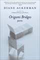 Origami Bridges : Poems of Psychoanalysis and Fire, Diane Ackerman 
