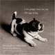 I Am Puppy, Hear Me Yap : The Ages of Dog, Valerie Shaff 