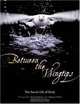 Between the Wingtips: The Secret Life of Birds, Brutus Ostling, Magnus Ullman 