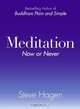 Meditation Now or Never, Steve Hagen 