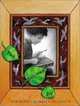 The Dulcimer Boy, Tor Seidler 
