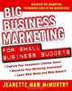 Big Business Marketing For Small Business Budgets, Jeanette Maw McMurtry 