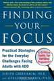 Finding Your Focus, Judith Greenbaum 