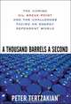 A Thousand Barrels a Second : The Coming Oil Break Point and the Challenges Facing an Energy Dependent World, Peter Tertzakian 