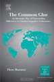 The Common Glue: An Alternative Way of Transcending Differences to Unleash Competitive Performance (International Business and Management) (International Business and Management), Piero Morosini 