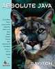 Absolute Java (4th Edition), Walter Savitch 
