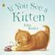 If You See A Kitten, John Butler 