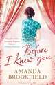 Before I Knew You, Amanda Brookfield 