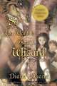 So You Want to Be a Wizard (20th): Twentieth-Anniversary Edition, Diane Duane 