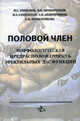 Половой член. Морфологическая предрасположенность эректильных дисфункций, Прохоренков В.И., Горбунов Н.С., Самотесов П.А. 