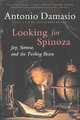Looking for Spinoza: Joy, Sorrow, and the Feeling Brain, Antonio Damasio 