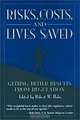 Risks, Costs, and Lives Saved: Getting Better Results from Regulation, Robert W. Hahn 