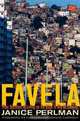 Favela: Four Decades of Living on the Edge in Rio de Janeiro, Janice Perlman 