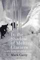 In the Shadow of Melting Glaciers: Climate Change and Andean Society, Mark Carey 
