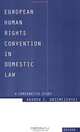 European Human Rights Convention in Domestic Law: A Comparative Study, Andrew Z. Drzemczewski 