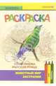 Вильсонова райская птица. Живой мир Австралии, 